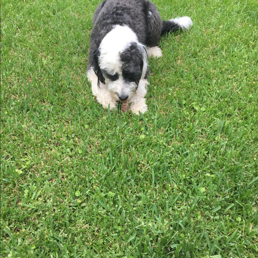 Meet your Posher, Karina